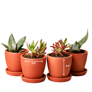 Juego de 4 Macetas de Terracota Kullad Hechas a Mano para Interiores y Exteriores, Balcón, Terraza, Jardín, Decoración del Hogar, Macetas Rústicas de Arcilla - Product Image 3