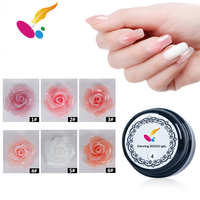 QS Ongles en poly gel de couleur personnalisés professionnels Extension d'ongle en acrylique UV Soak Off Private Label pour une utilisation en salon artistique avec lampe à LED