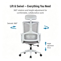 Chaise de conférence ergonomique en maille avec appui-tête réglable, base en forme de traîneau grise, chaise de bureau pour la réception