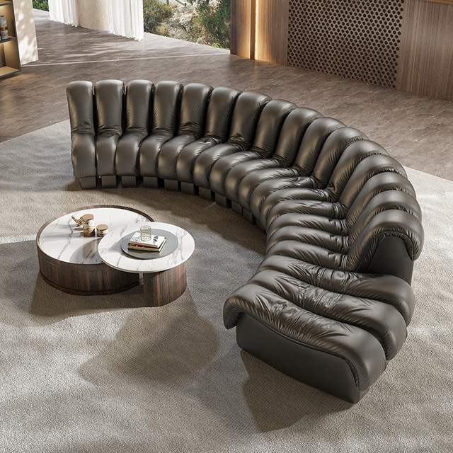 ATUNUS Lujo Unico De Sede DS 600 Sofa De Diseno Serpiente Cuero Negro Curvo Modular Seccional Sofa Conjunto