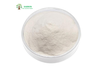 Extracto de Raíz de Achicoria en Polvo <span class=keywords><strong>Inulina</strong></span> de Darwin Supply - Product Image 3