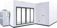 Chambre froide de vente chaude Walk in Freezer Walk in Cooler Walk in Chiller Cold Storage pour la viande