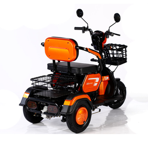 2023 Vente Chaude 600W 48V Vélo Électrique à 3 Roues, Tricycle Électrique Adulte Cargo Ebike Sans Panier - Product Image 3