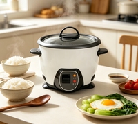 Mini cuiseur à riz 1,8 L en acier inoxydable, appareil de cuisine électrique avec tasse doseuse