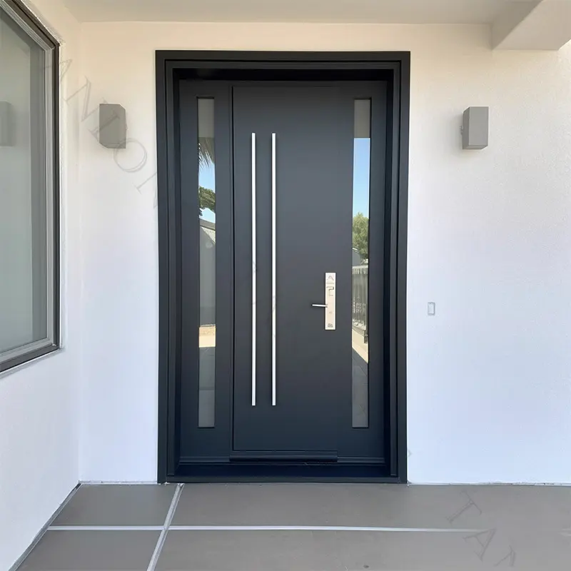 Porte d'entrée de sécurité décorative en métal personnalisée en fer forgé noir moderne intérieur design dernier cri porte en fer