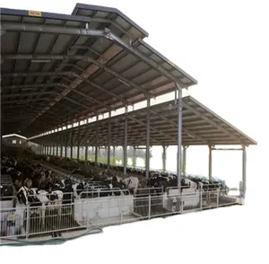 Complete Controlled Poultry Farm For Commercial Chicken House Steel Structure Cow / Horse / barn House