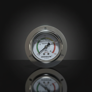 SONGLIN Digitale Drukcalibrator Mbar Manometer met Messing Achterkant OEM - Product Image 3