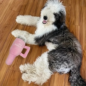 Jouet pour chien DGM PET, peluche qui couine, jouet à mâcher pour animaux de compagnie en plein air, taille moyenne - Product Image 5
