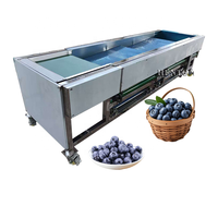 Hoge Efficiëntie Sorteermachine Blauwe Bessen / Blauwe Bessen Sorteermachine / Blauwe Bessen Graderingsmachine