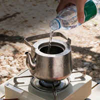Bouilloire en titane pur pour le camping, les voyages en plein air, l'usage domestique et la préparation du thé