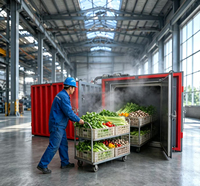 Volledig automatische vacuüm-voorverkoelingsmachine SUS304 voor fruit, groenten, gekookt vlees, snelle koeling