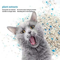 Litière pour chat Sable 6L Litière pour chat Tofu mixte Effet désodorisant puissant Litière pour chat de qualité alimentaire