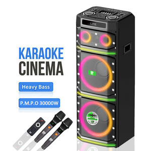 Système audio professionnel pour karaoké, enceinte de fête 12 pouces DP-2136 GD-2136, Son de qualité supérieure pour la musique du Jour de la Russie - Product Image 1