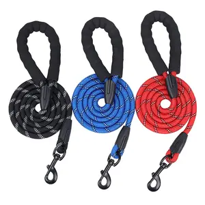 Nouveau design 2024 fournisseur stock chien bracelet en cuir nylon antidéflagrant avec laisse de chien à poignée souple