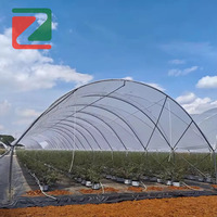 Serre en film multi-travées avec poteaux en Y pour la protection contre la pluie des fraises et des bleuets