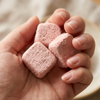100% Pure Gedroogde Aardbeien Yoghurtblokjes Zonder Toevoegingen