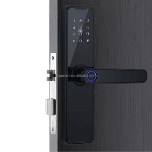 Elektronische Tuya App Slimme Voordeur Slot 5050 Pen Voor Thuis Appartement Kantoor App Vingerafdruk Deurknop Biometrische Smart Lock