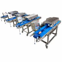 Machine à découper la viande Xibao pour restaurants, moteur haute efficacité, capacité 500 kg/h, pour poitrine de poulet, filet de poisson, morceaux de saumon