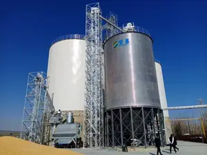 स्टील silos मकई गेहूं धान भंडारण के लिए फैक्टरी अनुकूलित अनाज silos