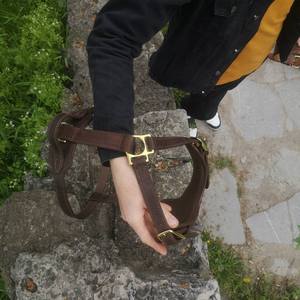 ハンドル付き手作りレザードッグハーネスヘビーデューティーウォーキングトレーニングキャットペットベストソフトミディアムラージドッグハーネス - Product Image 5