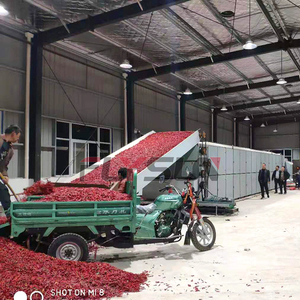 Chaîne de production complète pour le lavage, le séchage et l'emballage des piments en tranches, équipement de déshydratation des piments rouges - Product Image 4