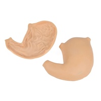 Módulo de Simulación Laparoscópica para Procedimientos Quirúrgicos de Anastomosis Gástrica - Práctica 3D para Sutura y Corte