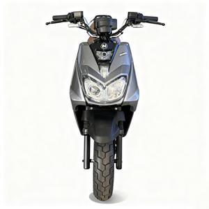 2000W Hochgeschwindigkeits-Elektro-Dirtbike 61-80km/h LED-Scheinwerfer Eisenrahmen PU-Lackierung und Doppel-Fernbedienung mit Alarm - Product Image 2