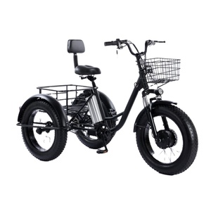 Gas Powered Trike for Adults: Fast & Reliable Gas Powered Trike for Adults: Fast & Reliable