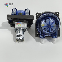 En stock HAP HP10 24V DC Micro pompe à encre résistante à l'encre Pompe péristaltique TECNOFERRIRA Pompe à encre spéciale pour machines d'impression