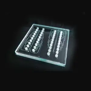 Rõ Ràng Plexiglass Cnc Phay Microfluidic Chip Trong Suốt Đánh Bóng Bộ Phận