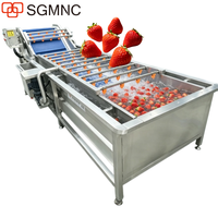 Volledig automatische aardbeienreinigings- en wasmachine voor export van verse aardbeien, 200 kg/uur