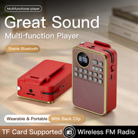Radio FM portable rechargeable P63 avec haut-parleur Bluetooth et lecteur de carte multifonction