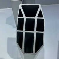 Profilés en aluminium industriels série OEM 6063, extrudés, anodisés par pulvérisation, profilés en aluminium CNC