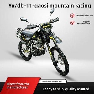 Venta al por mayor de fábrica China Forest-path Endurance YX/DB-11-CB300CC Motocicleta de carreras de alto rendimiento para pista 110km/h - Product Image 2