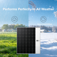 Panneaux solaires en verre trempé personnalisés 200W 24V 36V 48V, étanches IP68, entièrement noirs, modules PV rigides mono pour système solaire hors réseau