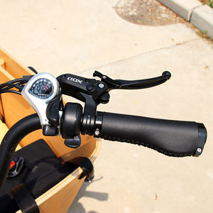 Tricycles électriques hollandais CE, <span class=keywords><strong>vélo</strong></span> électrique à 3 roues, <span class=keywords><strong>vélo</strong></span> cargo familial, Bakfiet, <span class=keywords><strong>vélo</strong></span> électrique urbain, entrepôt européen, best-seller avec <span class=keywords><strong>housse</strong></span> de pluie - Product Image 4