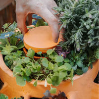 Pot de jardinage en terre cuite pour la maison et le jardin, style mignon, composteur de légumes avec emballage personnalisé