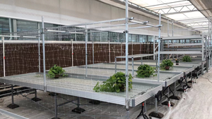 Invernadero agrícola el sistema de flujo y reflujo más vendido, bancos de cultivo, sistema hidropónico de mesa - Product Image 3