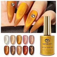 Vernis Gel Magnétique Effet Œil de Chat 9D OEM 15ml UV LED Soak Off Longue Durée Fournitures de Manucure Nail Art Salon Haute Qualité
