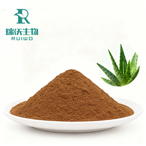 Poudre d'extrait d'aloe vera |   Certifié Halal |   Emballage de fûts - Product Image 5