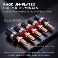 Borne de liaison haut de gamme en cuivre plaqué rhodium, haute dureté, anti-oxydation, longue, pour câblage d'amplificateur de haut-parleur et de boîtier, personnalisable
