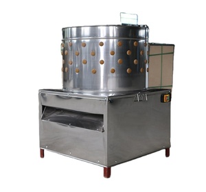 TD-80 de granja avícola comercial, desplumador de plumas de pollo totalmente automático, en venta - Product Image 4