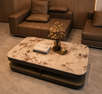 Table basse élégante et moderne en marbre arrondi, durable, écologique, polyvalente, avec surface spacieuse et structure en bois