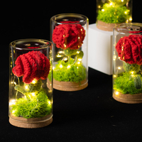 Lampe lumineuse oeillet en pot crochet fleur verre abat-jour fleur éternelle décoration de la maison Thanksgiving cadeau de fête des mères