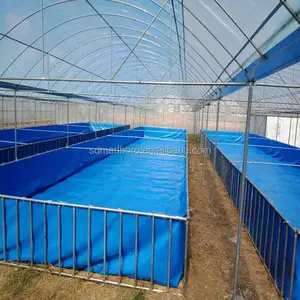 Sistema di acquacoltura a ricircolo di serbatoi per piscicoltura professionale personalizzato <span class=keywords><strong>SDM</strong></span> - Product Image 4