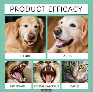 Spray Bucal para Perros y Gatos, 100 ml, Extracto Herbal, Promueve un Aliento Fresco, Refuerza el Sistema Inmunitario, Limpia los Dientes, Encías Saludables, Sin Cepillo Dental - Product Image 6
