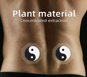 Prix de gros patch pour la santé rénale top vente OEM ODM plâtre chinois produit de soins de santé pour les reins - Product Image 2