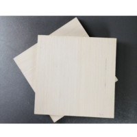 Contrachapado Laminado con Revestimiento de Melamina, Grosor 2440*1220mm, 18mm 16mm, Variedad de Chapas Texturizadas para Decoración del Hogar, Venta al Por Mayor
