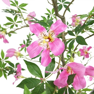 Bán Buôn 120Cm Cao Nhân Tạo <span class=keywords><strong>Kapok</strong></span> Hoa Cây Với Nồi Giả <span class=keywords><strong>Kapok</strong></span> Cây - Product Image 3