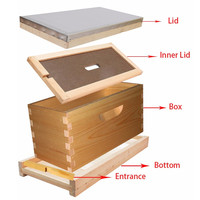 Boîte de Nuc en bois de Langstroth pour apiculture, ruche d'accouplement d'abeille